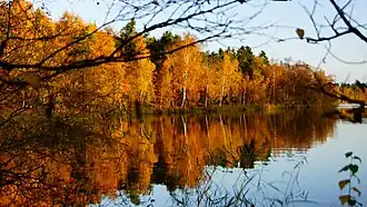 Øjesø (lit: Eye-lake) a forest lake.