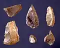 Silex tools found in the Cova Negra