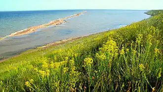 photograph of lagoon coast