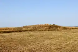 Archaeological mound, Safakulevsky District