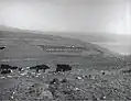 Kfar Hittim, 1937