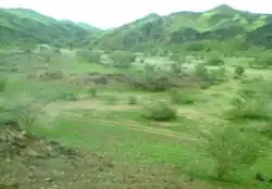 المضيق وادي الفرع