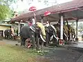 Elephants are standing in the Elephant enclosure during Pooram