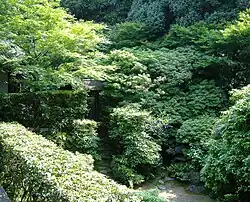 Shii Garden