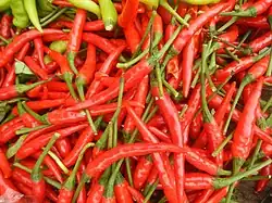 Siling tingala, an F1 hybrid commonly mislabeled as "siling labuyo" in Luzon markets