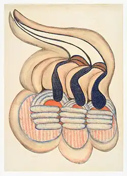 Flowers with the Taste of Potato Cones, pastel, 1960s