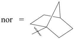 The 1-norbornyl group