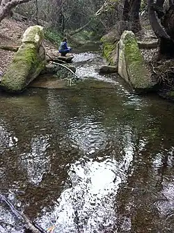Looking upstream at 1935 weir in Permanente Creek in Heritage Oaks Park.