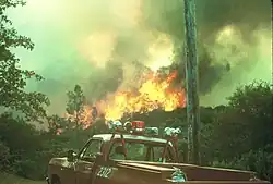 Very large, bright yellow flames are visible above green treetops in the background, with a red Cal Fire pickup truck visible in the foreground