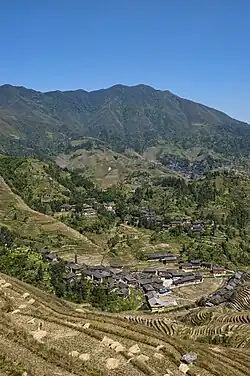 Dazhai rice terrace
