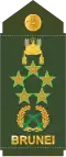 Fil marsyal (Royal Brunei Land Force)[21]