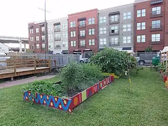 Raised garden beds with painted wooden edgings at Wise Words Community Garden in Mid-City, New Orleans.