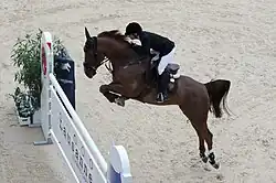 a dark bay horse with rider taking off over a fence