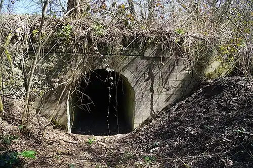 Tunnel entrance.