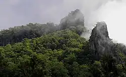 The Needle and The Thimble, Nimbin Rocks in storm lighting