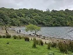 Llyn Cynwch, a natural ancient lake of Nannau