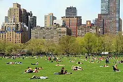 People seated or reclining on the large grass area known as Sheep Meadow