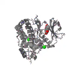 3bqc: View PF0069 # Catalytic Subunit of Human Protein Kinase CK2 Structurally 1zrz Deviates from Its# Maize Homologue in Complex (PMID 12021392)