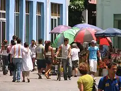 Flower vendors' stalls in Parque Vidal