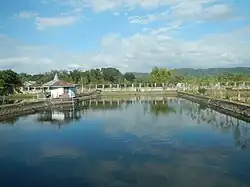 A rectangular pond inside an enclosed compound