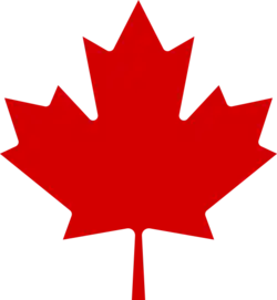 Shirt badge/Association crest