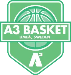 A3 Basket logo