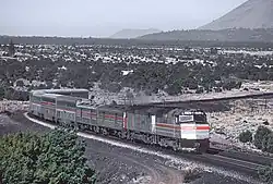 Tall silver coaches with scrub desert in the background
