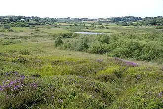 A view across Cors Goch, Anglesey, Wales.jpg