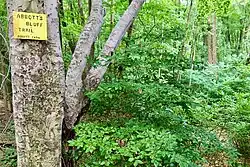 Abbott's Bluff Trail