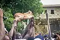 A group catches deer for the Aboakyer festival in Ghana