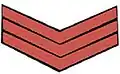 Administration Police Insignia