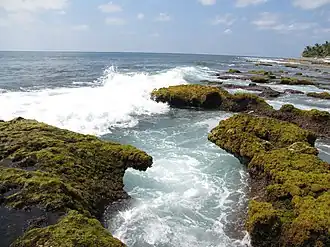Scene at Lakshadweep Island