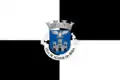 Flag of Aguiar da Beira