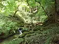 Akasaki-higashitani valley, tributary of Yura river (Asiu Forest, Field Science Education and Research Center, Kyoto University)