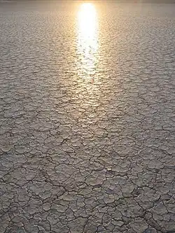 The cracked playa surface of the Alvord Desert