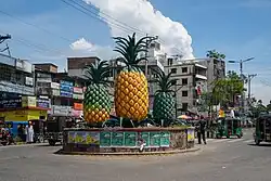 Three Pineapples symbol of Mohdupur Upazilla