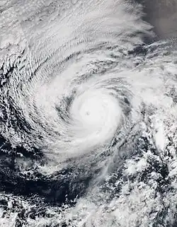 Satellite image of Hurricane Andres on June 1