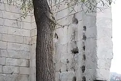 Interior view of the south wall of the pronaos