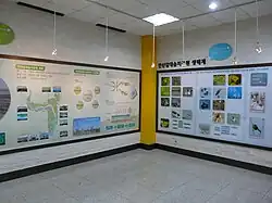 Inside the Ecosystem