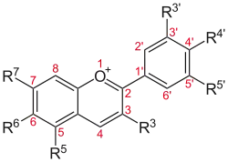 Core structure common to all anthocyanins, some of which produce the blue pigments in blueberries.[48]