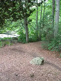 Another green corner of the arboretum.