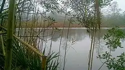 Ashville Bridge Creek in Sigma