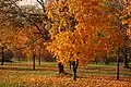 Autumn in Środula Park