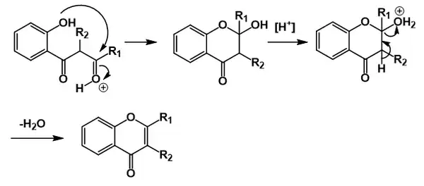 The cyclodehydration following the Baker-Venkataraman rearrangment on treatment with acid.