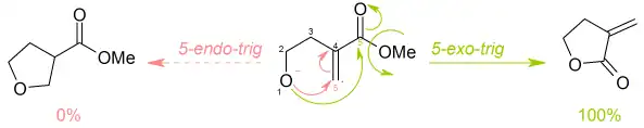Reaction of methyl 4-hydroxy-2-methylenebutanoate according to Baldwin rules