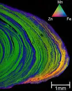 X-ray fluorescence tricolor map of a ferromanganese nodule from the Baltic Sea.