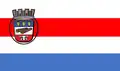 Flag of Medeiros Neto