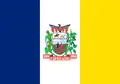 Flag of Capão Alto