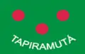 Flag of Tapiramutá
