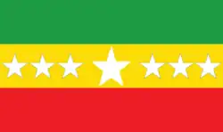 Flag of San Miguel de Bolívar